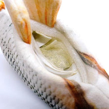 Load image into Gallery viewer, Fish out of Water - Interactive Cat Toy