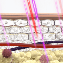 Load image into Gallery viewer, PainQ Pro