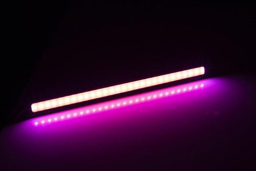 Car LED Strip